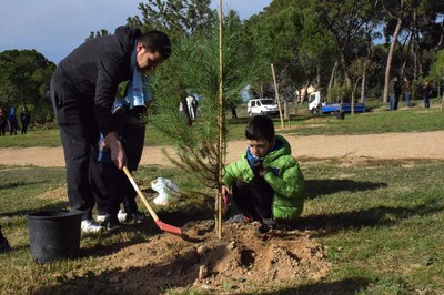 Durant el Dia de l'arbre autòcton, els participants poden plantar arbres i arbustives (foto: Localpres).