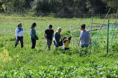 Els rubinencs s'han convertit en pagesos per un dia gràcies a l'activitat 'Ecobòdum: hort en família' (foto: Localpres)