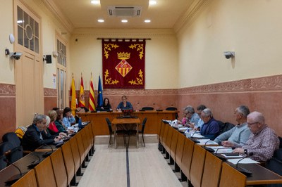 Un momento de la sesión plenaria de este lunes (foto: Ayuntamiento de Rubí - Localpres).